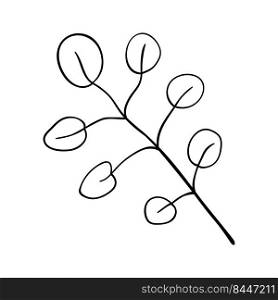 Herbs and forest plants. Twig large with round leaves, simple botanical silhouette drawing for cards and invitations