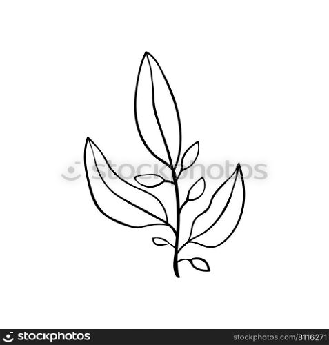 Herbs and forest plants. Twig with three leaves, simple botanical pattern for cards and invitations