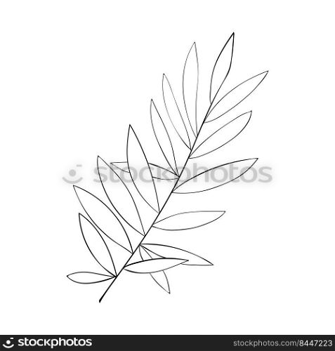 Herbs and leaves. Lots of leaves line art twigs. For cards, invitations botanical pattern