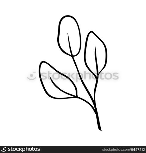 Herbs and plants. Drawing of a twig with 3 leaves. Botanical pattern for cards and invitations