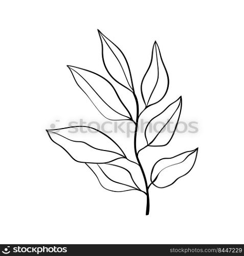 Herbs and plants. Linear drawing of a branch with leaves. Botanical pattern for cards and invitations