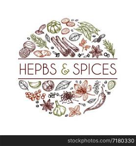 Herbs and spices background. Hand drawn asian food. Indian cooking herbs vector engraved style. Rosemary and cardamom, ginger and cinnamon illustration. Herbs and spices background. Hand drawn asian food. Indian cooking herbs vector engraved style