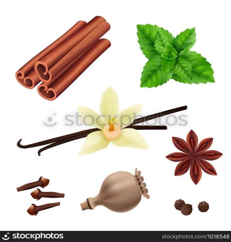 Herbs and spices. Cinnamon vegan leaves fresh vanilla seeds for cooking vector herbs realistic collection. Illustration of cinnamon and vanilla, leaf of mint. Herbs and spices. Cinnamon vegan leaves fresh vanilla seeds for cooking vector herbs realistic collection