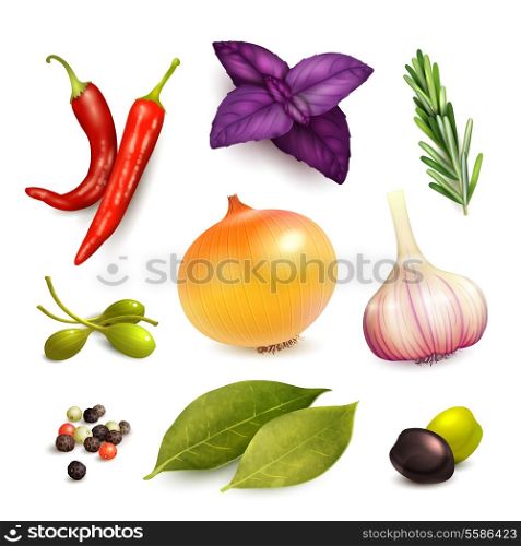 Herbs and spices decorative elements set on rosemary onion garlic isolated vector illustration
