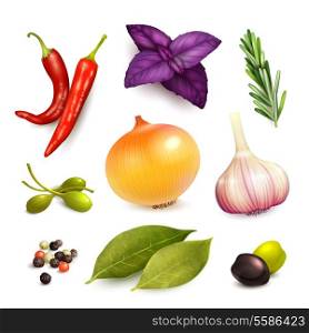 Herbs and spices decorative elements set on rosemary onion garlic isolated vector illustration