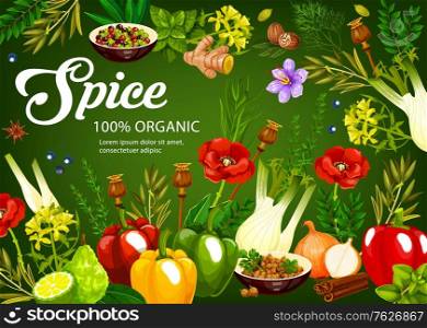 Herbs and spices, seasonings vegetables and cooking condiments, vector food flavoring ingredients. Farm garlic and rosemary, culinary cinnamon and anise, lime and ginger, celery and paprika pepper. Herbs, spices, seasonings vegetables, condiments