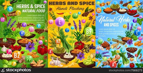 Herbs and spices, vitamin A, B, C, capsules and seasonings. Vector vegetables and condiments, thyme and basil, ginger and min, vanilla and lavender, anise star and rosemary, pepper and cinnamon. Herbs and spices, food seasonings
