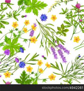 Herbs And Wild Flowers Seamless Pattern. Flat seamless pattern with blooming herbs and wild flowers such as buttercup cornflower lavender and clover on white background vector illustration