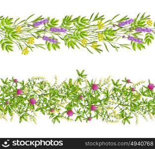 Herbs And Wild Flowers Seamless Pattern. Horizontal blooming herbs and wild flowers border seamless pattern set isolated on white background flat vector illustration