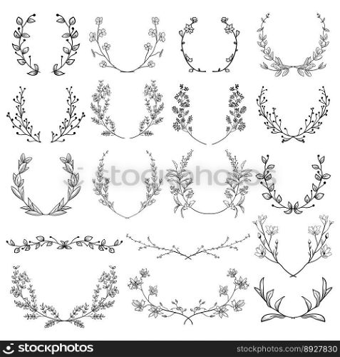 Herbs plants and flowers branches laurels vector image