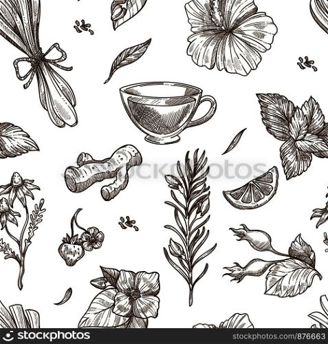 Herbs sketch pattern background. Vector seamless design of herbal tea with aroma condiments of ginger, rose flower fruit or lemongrass and chamomile, jasmine or mint and hibiscus or strawberry berry. Herbs sketch vector seamless pattern background