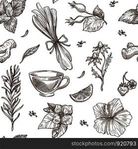 Herbs sketch pattern background. Vector seamless design of herbal tea with aroma condiments of ginger, rose flower fruit or lemongrass and chamomile, jasmine or mint and hibiscus or strawberry berry. Herbs sketch pattern background. Vector seamless design of herbal tea