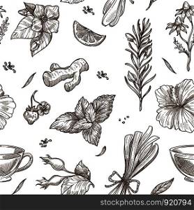 Herbs sketch pattern background. Vector seamless design of herbal tea with aroma condiments of ginger, rose flower fruit or lemongrass and chamomile, jasmine or mint and hibiscus or strawberry berry. Herbs sketch pattern background. Vector seamless design of herbal tea