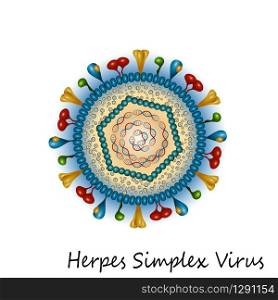 Herpes simplex virus particle structure on white background. Vector illustration. Herpes simplex virus particle structure