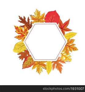 hexagon frame from Autumn Leaves with white space vector