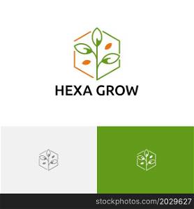 Hexagon Grow Plant Seed Nature Agriculture Logo