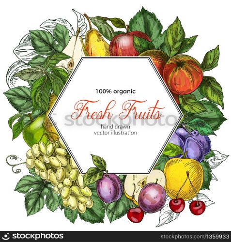 Hexagonal banner template. Garden fruits, colored hand drawn vector illustrations.