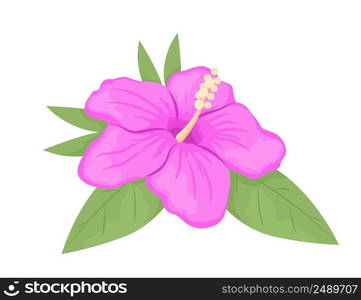 Hibiscus flower blooming semi flat color vector object. Full sized item on white. Tropical flora for decoration simple cartoon style illustration for web graphic design and animation. Hibiscus flower blooming semi flat color vector object