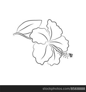 Hibiscus flower, large bud drawn with lines. Isolated bud on a branch. For invitations and valentines