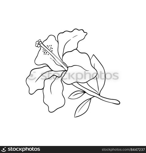 Hibiscus flower line art. Large bud of a tropical plant. For postcards and invitations