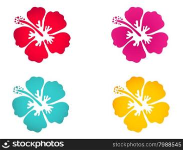 Hibiscus flower set in bright colors. Surfing, holiday and tropical symbol