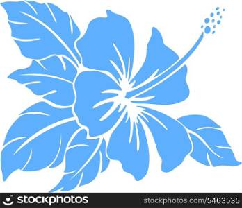 Hibiscus flower silhouette on a white background