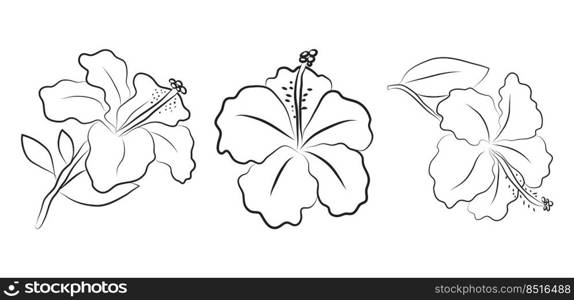 Hibiscus flowers drawn with lines. Set of isolated large open flower buds. For invitations and valentines