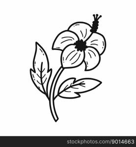 Hibiscus. Vector doodle illustration. Traditional Korean flower. National symbol. Hand drawn illustration.