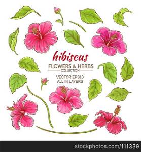 hibiscus vector set. hibiscus flowers vector set on white background