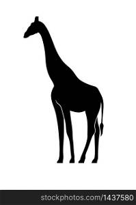 high African giraffe monogram color on a white background