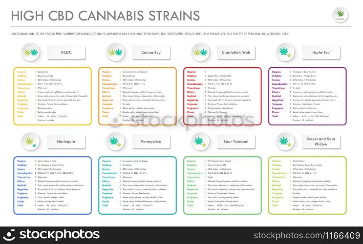 High CBD Cannabis Strains horizontal business infographic illustration about cannabis as herbal alternative medicine and chemical therapy, healthcare and medical science vector.