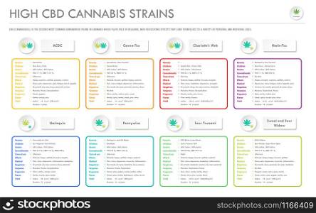 High CBD Cannabis Strains horizontal business infographic illustration about cannabis as herbal alternative medicine and chemical therapy, healthcare and medical science vector.