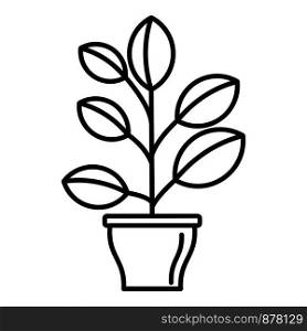 High houseplant icon. Outline high houseplant vector icon for web design isolated on white background. High houseplant icon, outline style