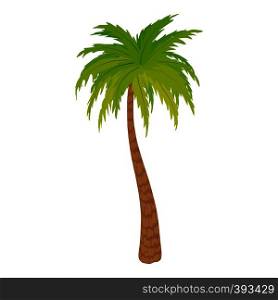 High palm tree icon. Cartoon illustration of high palm tree vector icon for web. High palm tree icon, cartoon style
