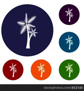 High palm tree icons set in flat circle reb, blue and green color for web. High palm tree icons set