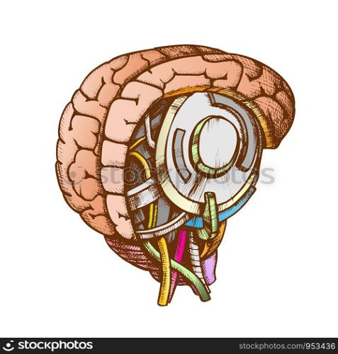 High Technology Robotic Brain Color Vector. Artificial Intelligence Concept In Form Of Human Brain. Electronic Mind Cyberbrain Hand Drawn In Vintage Style Illustration. High Technology Robotic Brain Color Vector
