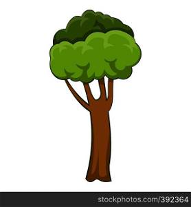 High tree icon. Cartoon illustration of high tree vector icon for web. High tree icon, cartoon style