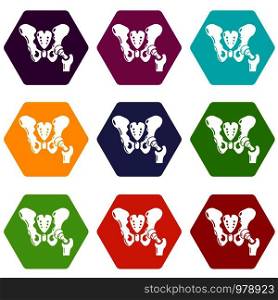 Hip bone icons 9 set coloful isolated on white for web. Hip bone icons set 9 vector