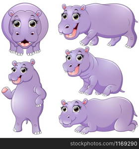 Hippo animal cartoon set collection