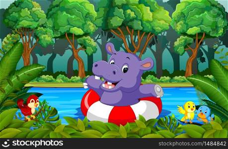 Hippo swimming in the river