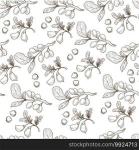 Hippophae branches with berries and foliage, seamless pattern of organic natural product. Sea buckthorn plant with antioxidant properties, detoxing. Monochrome sketch outline, vector in flat style. Sea buckthorn plant, foliage and berries of hippophae seamless pattern