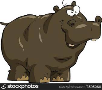 Hippopotamus on white background vector illustration