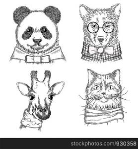 Hipster animals. Fashion adult illustrations wild animals in various clothes vector hand drawn sketches. Animal hipster wild panda and cat, bear and giraffe. Hipster animals. Fashion adult illustrations wild animals in various clothes vector hand drawn sketches