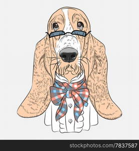 hipster dog Basset Hound breed in a glasses and bow tie
