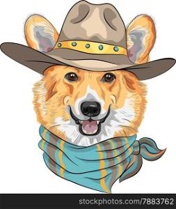 Hipster dog Pembroke Welsh corgi breed in hat and neckerchief