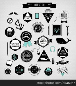 Hipster style elements, icons and labels can be used for retro vintage website, info-graphic