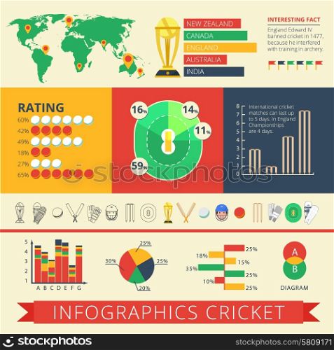 Historical background facts and international cricket matches statistics diagrams charts and rating report poster abstract vector illustration. Infographics report cricket poster