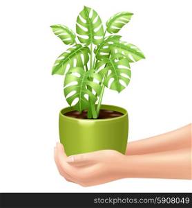 Holding A Houseplant Illustration . Woman holding a houseplant realistic vector illustration with hands and green pot