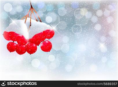 Holiday background with Christmas branch with red berries. Vector illustration.