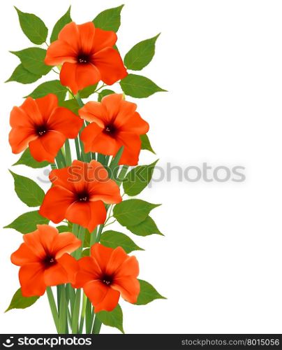 Holiday background with orange beautiful flowers. Vector illustration.